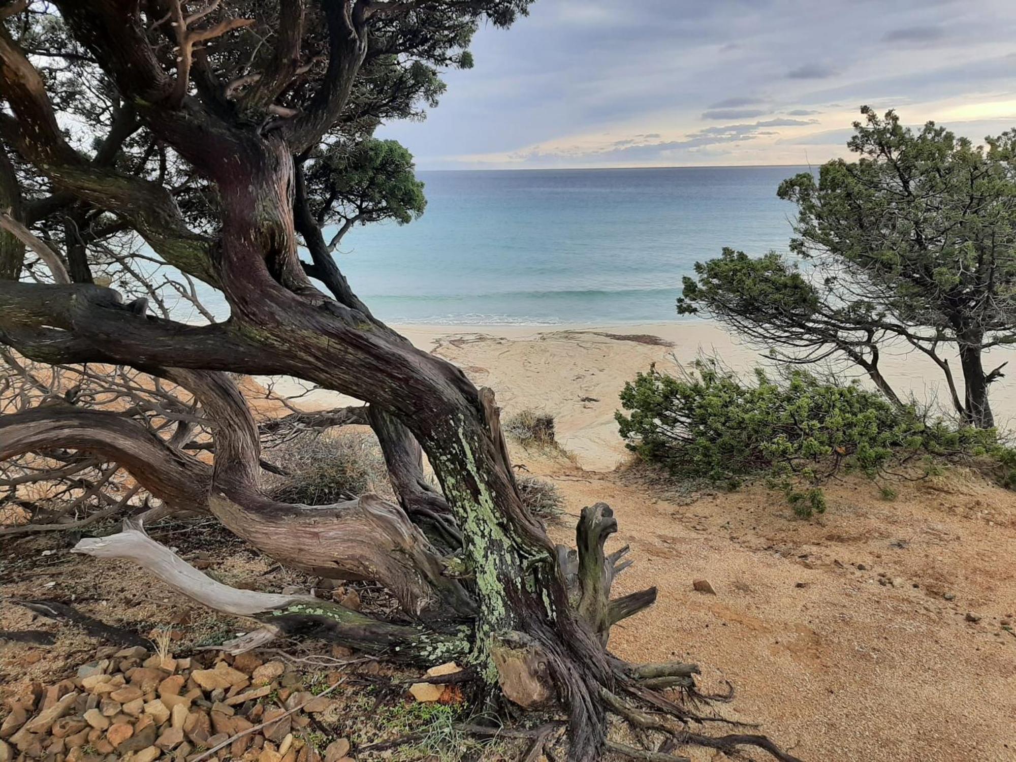 Resonance Experience - Tranquil Room Close To Beaches And Sacred Sites Sant Isidoro  Eksteriør billede