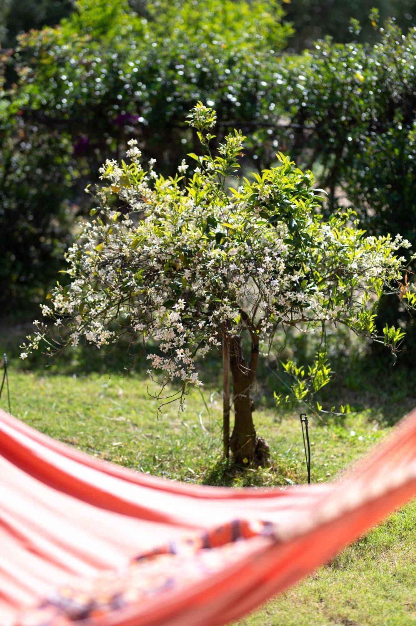 Resonance Experience - Tranquil Room Close To Beaches And Sacred Sites Sant Isidoro  Eksteriør billede