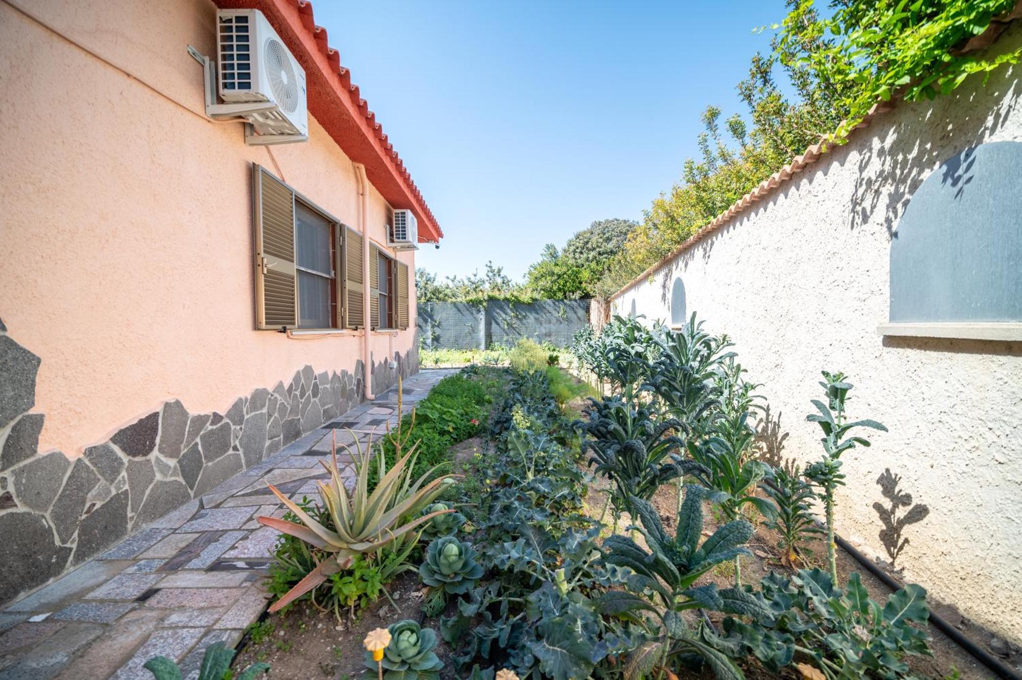 Resonance Experience - Tranquil Room Close To Beaches And Sacred Sites Sant Isidoro  Eksteriør billede